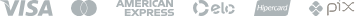 payment